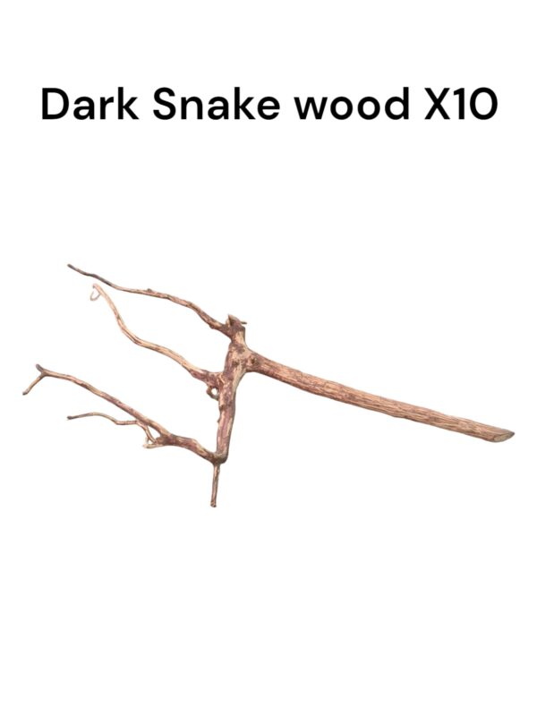 Dark Snake Wood X10